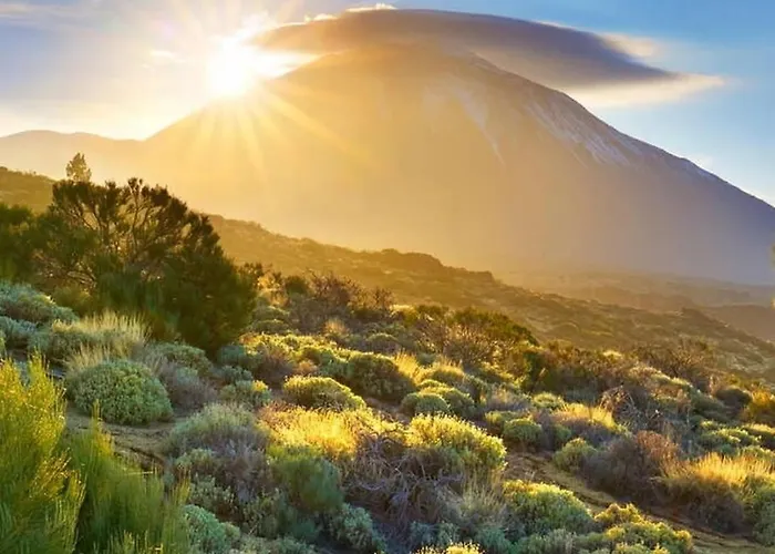 Big At Lila Guest house Puerto de la Cruz (Tenerife)