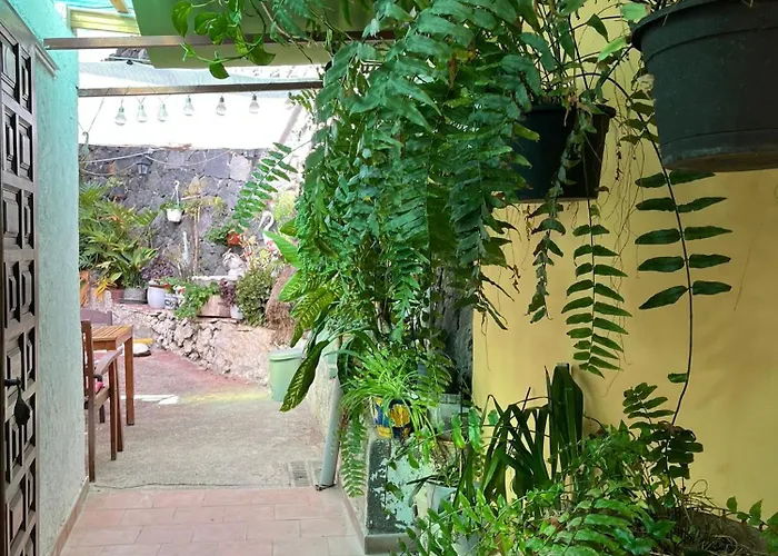 Guest house Big At Lila Puerto de la Cruz (Tenerife)