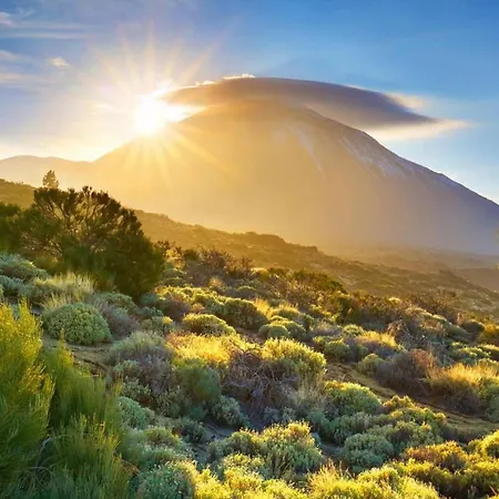 Big At Lila Pensionat Puerto de la Cruz (Tenerife)