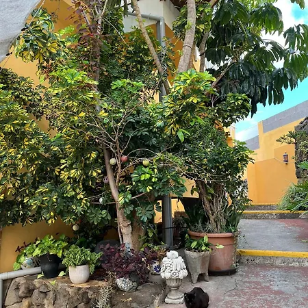 Big At Lila Gasthof *