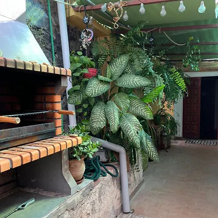 Big At Lila Pensionat Puerto de la Cruz (Tenerife)