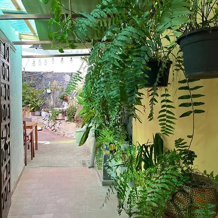 Pensionat Big At Lila Puerto de la Cruz (Tenerife)