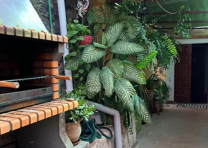 Big At Lila Gasthof Puerto de la Cruz (Tenerife)