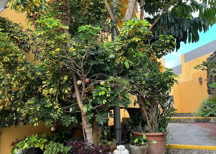 Big At Lila Pensión *